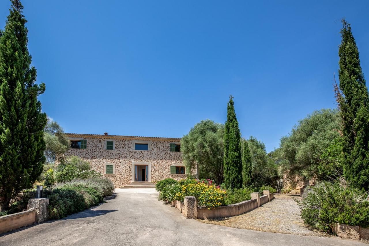 - 39376 Mallorca * Costitx (Mallorca)