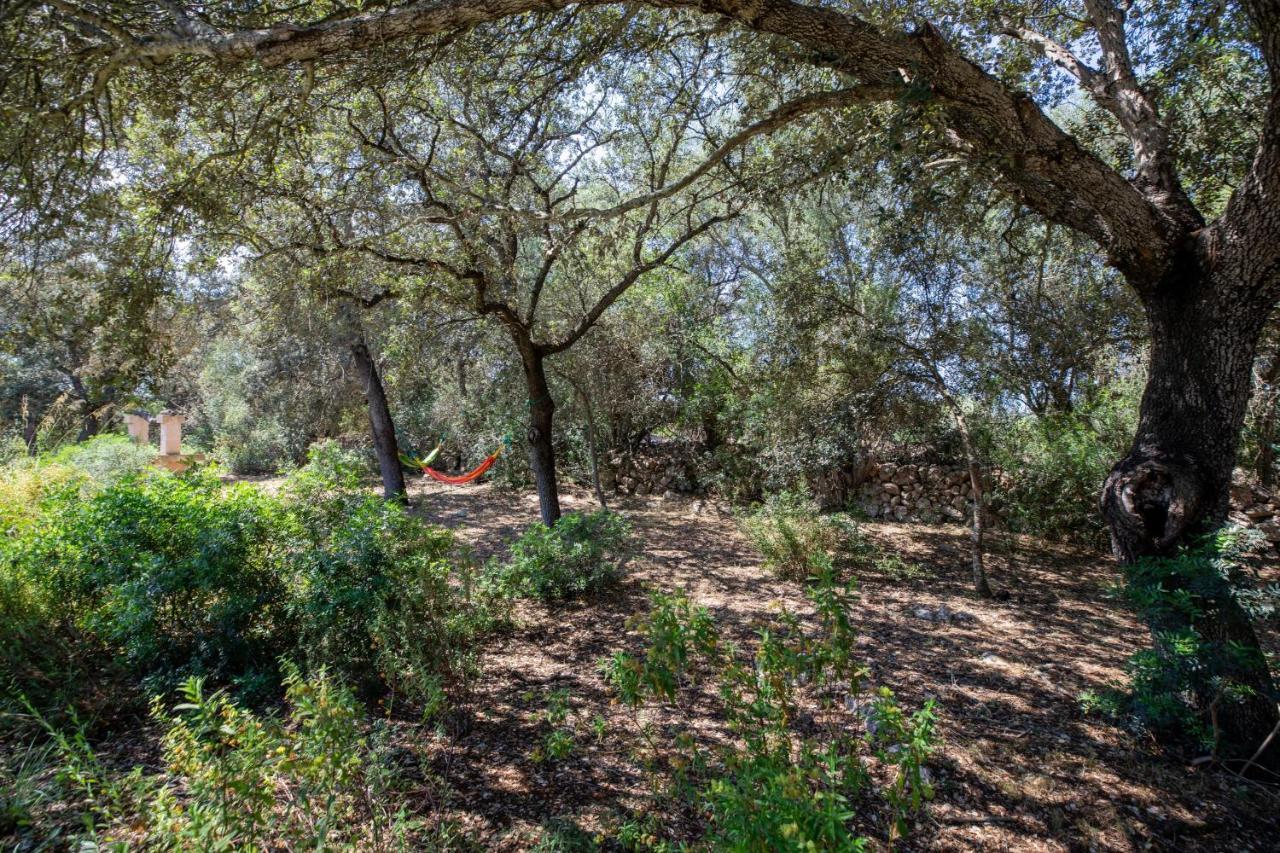- 39376 Mallorca Ferienhaus Costitx (Mallorca)