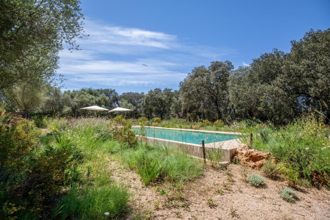 - 39376 Mallorca Costitx (Mallorca)