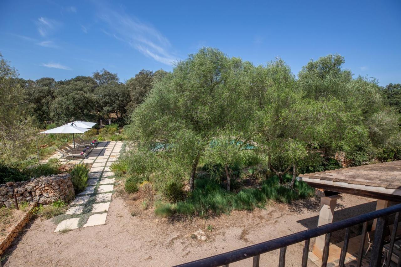 - 39376 Mallorca * Costitx (Mallorca)