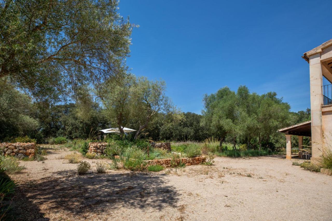 - 39376 Mallorca * Costitx (Mallorca)