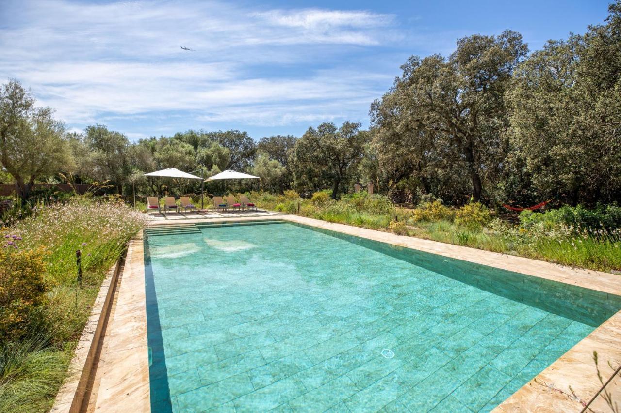 Hébergement de vacances - 39376 Mallorca Costitx (Mallorca)