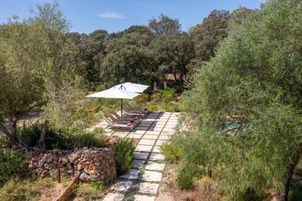 - 39376 Mallorca * Costitx (Mallorca)